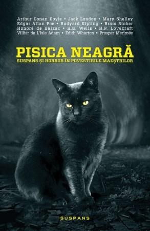 Coperta cărții: Pisica neagra - lonnieyoungblood.com