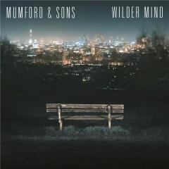 Wilder Mind - Vinyl