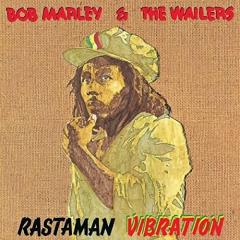 Rastaman Vibration Vinyl