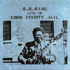 Live In County Jail - Vinyl