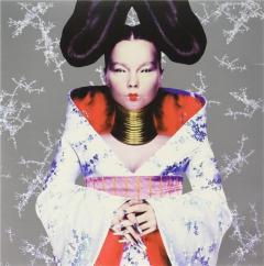 Homogenic - Vinyl