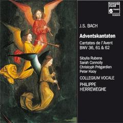 Bach: Advent Cantatas