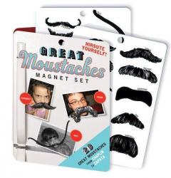 Magnetic Moustaches Set