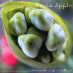 Extraordinary Machine Fiona Apple