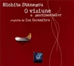 O viziune a sentimentelor