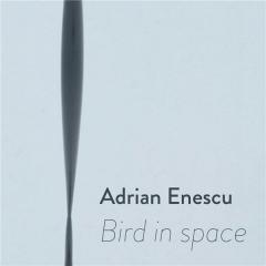 Bird in space