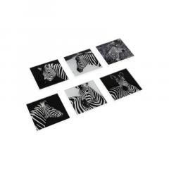 Coaster - Zebra - Modele diferite