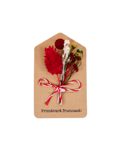 Martisor - Cartonas cu magnet cu flori uscate