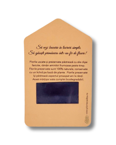 Martisor - Cartonas cu magnet cu flori uscate