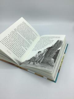 Eulenzauber - Der grosse Herzenswunsch - Volume 9