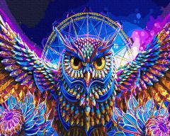 Set pictura pe numere - Magic Owl, 40x50 cm