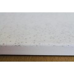 Set pictura pe numere - Moto 2, 40x50 cm