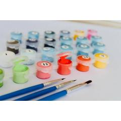 Set pictura pe numere - Moto 2, 40x50 cm