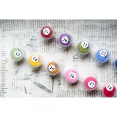 Set pictura pe numere - Moto 2, 40x50 cm