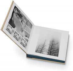 Sun Bear Concerts - Vinyl