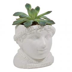 Ghiveci - Jane Austen Bust Succulent Planter