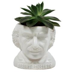 Ghiveci - Jane Austen Bust Succulent Planter