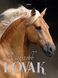  A legszebb lovak