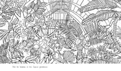 Kew a Year in the Garden Colouring Book (Chameleons)