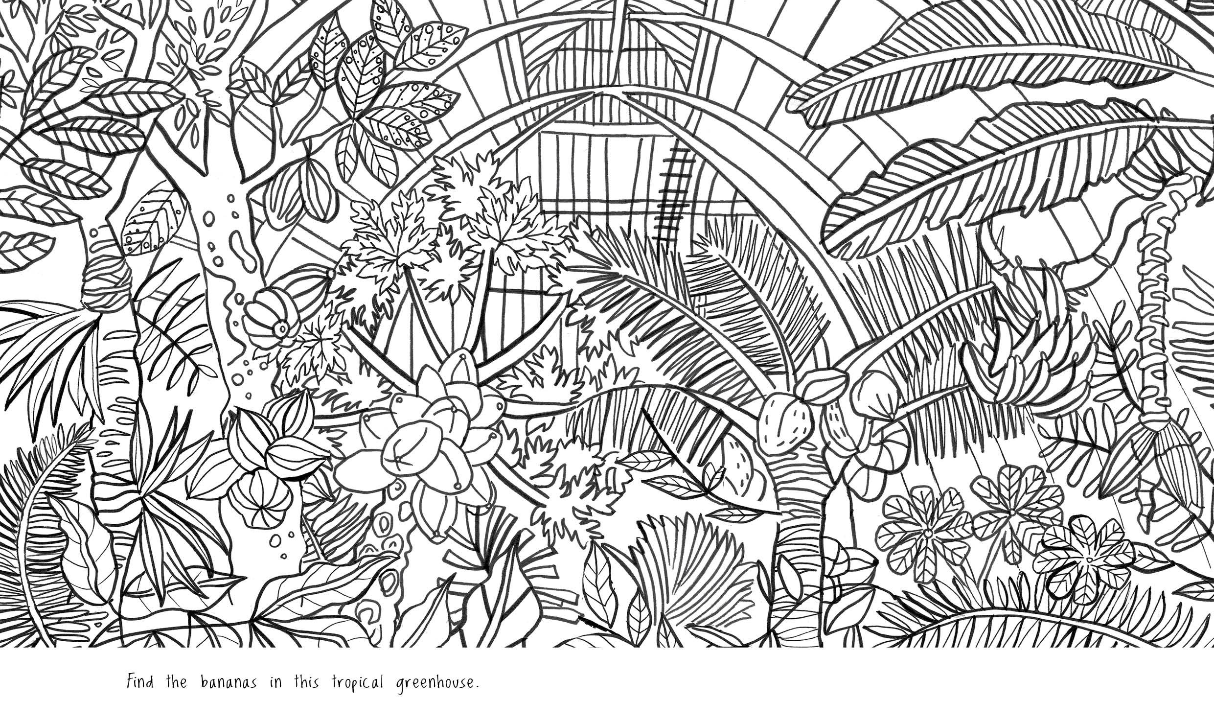 Kew a Year in the Garden Colouring Book (Chameleons) Howard Hughes