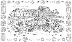 Kew a Year in the Garden Colouring Book (Chameleons)