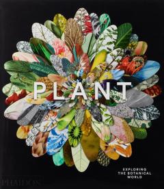 Coperta cărții Plant: Exploring the Botanical World