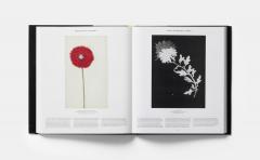 Plant: Exploring the Botanical World