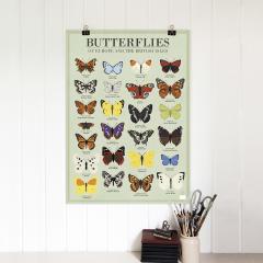 Hartie de impachetat / Poster - Butterflies
