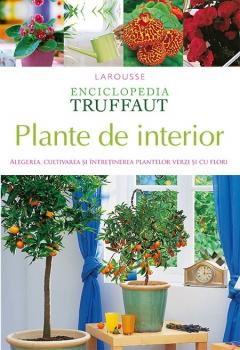 Plante de interior