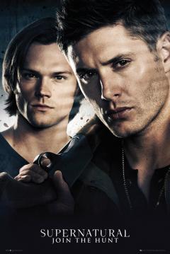 Poster - Supernatural Brothers GB Eye