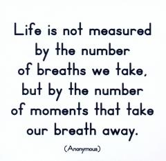 Felicitare - Life is not measured Quotable Cards
