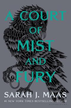 a court of mist and fury hardcover