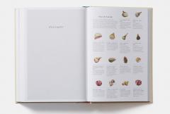 Eataly - Contemporary Italian Cooking 