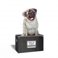 Post-it - Dog in a box