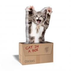 Post-it - Cat in a box