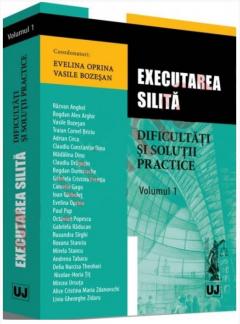 Executarea silita – dificultati si solutii practice