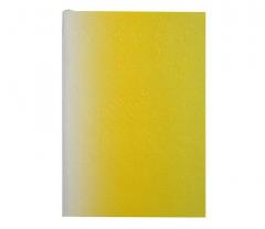 Carnet - Neon Yellow A5 Galison