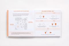 Color Origami: Fauna