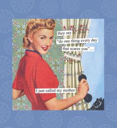 Agenda - Anne Taintor 2017 Engagement Calendar