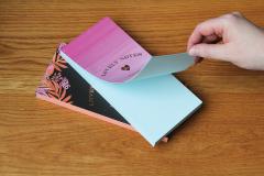 Carnet - Lovely Notes - Pink Ombre