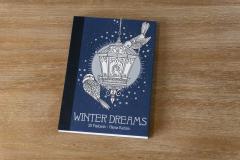 Carti postale - Winter Dreams - mai multe modele