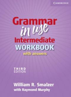 Grammar in Use Intermediate Workbook with Answers