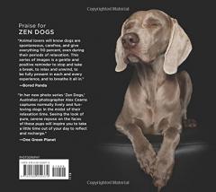Zen Dogs