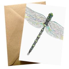 Felicitare - Dragonfly