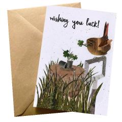 Felicitare - Good Luck Wren