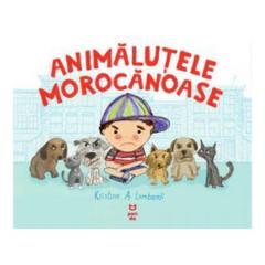 Animalutele morocanoase Kristine A. Lombardi