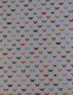 Hartie de impachetat - Butterflies
