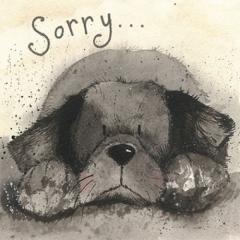 Felicitare - Sorry  Alex Clark
