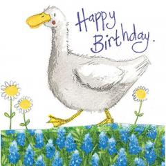 Felicitare - Duck and daisies  Alex Clark