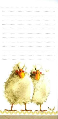 Lista magnetica - Duck Duo